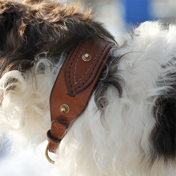 Lederhalsband mit Ornamenten. Hundehalsband aus Leder in cognac.
